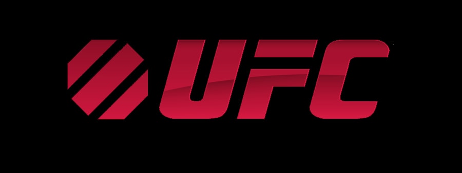 В 2015 году UFC может пожаловать в Россию, Южную Корею, Шотландию, Панаму и Коста-Рику